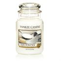 Picture of Baby Powder large Jar (gross/grande)
