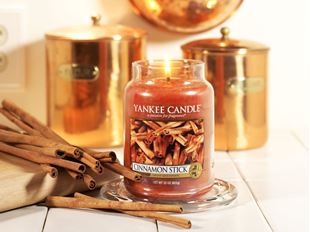 Picture for category Cinnamon Stick