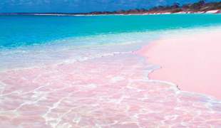 Bild für Kategorie Pink Sands
