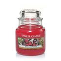 Picture of Red Raspberry Jar S  (klein/petite)