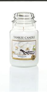 Picture of Vanilla large Jar  (gross/grande)