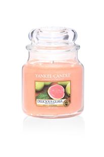 Bild für Kategorie Delicious Guava