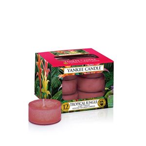 Picture of Tropical Jungle TEA Lights