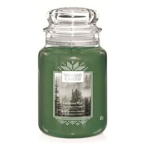 Picture of Evergreen Mist Jar L (gross/grande)