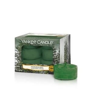 Bild von Evergreen Mist TEA-Lights