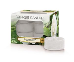 Bild von Camellia Blossom TEA LIGHTS