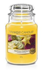 Bild von Tropical Starfruit Jar L (gross/grande)
