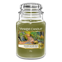 Picture of AUTUMN NATURE WALK LARGE JAR (GROSS/GRANDE)