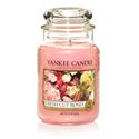 Picture of Fresh Cut Roses large Jar (gross/grande)