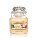 Bild von Vanilla Cupcake small Jar (klein/petite)