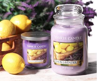 Picture for category Lemon Lavender