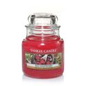 Bild von Red Raspberry Jar S  (klein/petite)