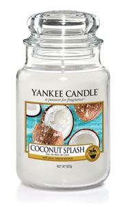 Picture of Coconut Splash Jar L (gross/grande)