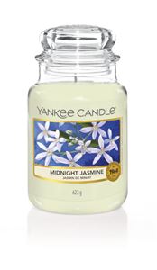 Picture of Midnight Jasmine large Jar (gross/grande)