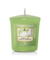 Picture of Vanilla Lime Votives