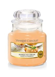 Bild von MANGO ICE CREAM SMALL JAR (KLEIN/PETITE)