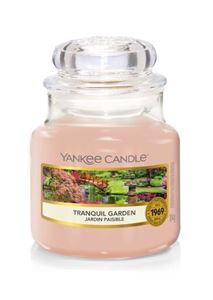 Picture of TRANQUIL GARDEN SMALL JAR (KLEIN/PETITE)