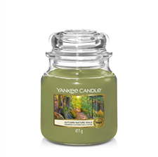 Picture of AUTUMN NATURE WALK MEDIUM JAR (MITTEL)