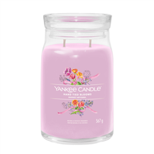 Bild von HAND TIED BLOOMS SIGNATURE LARGE JAR