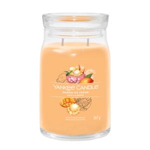 Bild von MANGO ICE CREAM SIGNATURE LARGE JAR