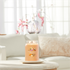 Bild von MANGO ICE CREAM SIGNATURE LARGE JAR