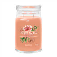 Bild von TROPICAL BREEZE SIGNATURE LARGE JAR