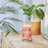 Bild von TROPICAL BREEZE SIGNATURE LARGE TUMBLER