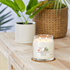 Bild von COCONUT BEACH SIGNATURE MEDIUM JAR