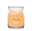 Picture of MANGO ICE CREAM SIGNATURE MEDIUM JAR