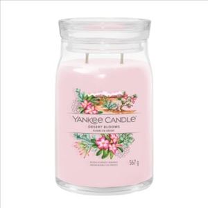 Picture of DESERT BLOOMS SIGNATURE LARGE JAR