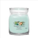 Picture of ALOE & AGAVE SIGNATURE MEDIUM JAR