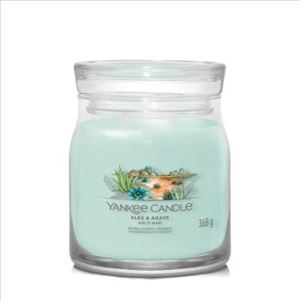 Picture of ALOE & AGAVE SIGNATURE MEDIUM JAR