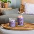 Bild von STARGAZING SIGNATURE MEDIUM JAR