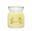Picture of Lemon Gelato Signature Medium Jar